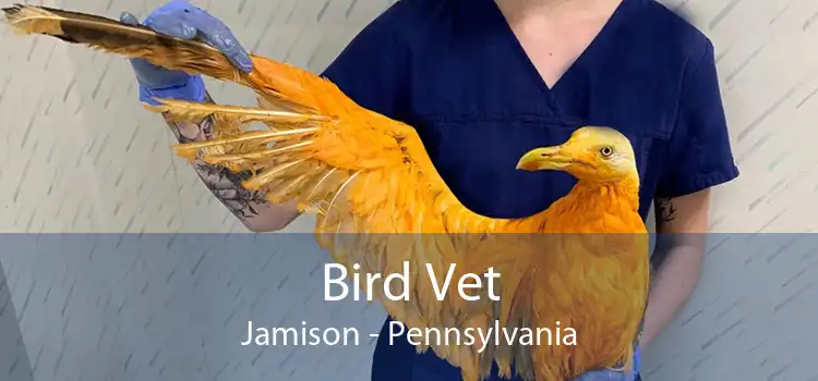 Bird Vet Jamison - Pennsylvania
