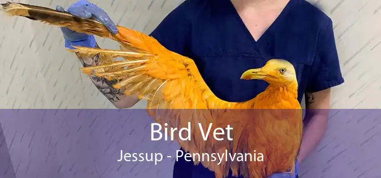 Bird Vet Jessup - Pennsylvania