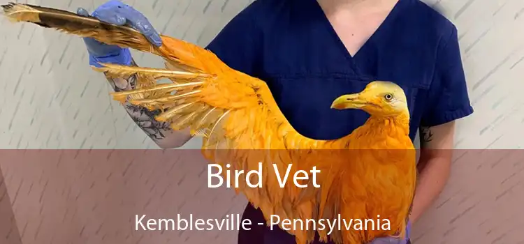 Bird Vet Kemblesville - Pennsylvania