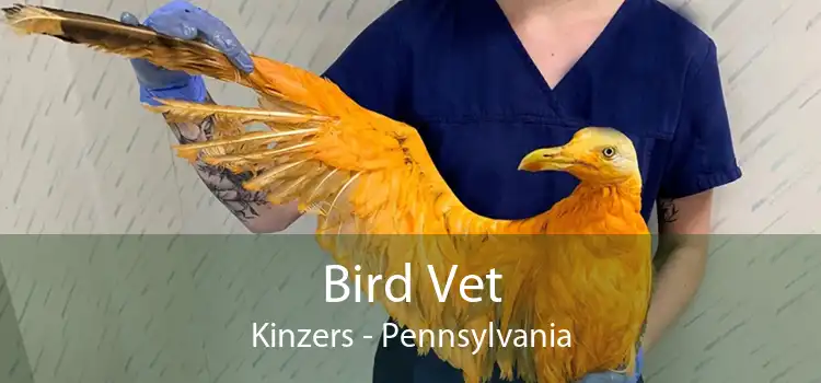 Bird Vet Kinzers - Pennsylvania