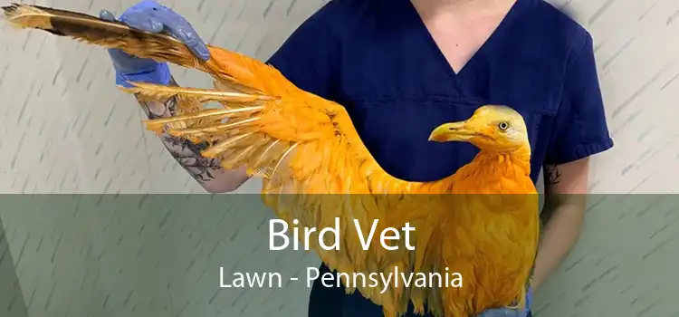 Bird Vet Lawn - Pennsylvania