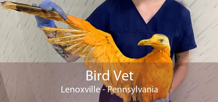 Bird Vet Lenoxville - Pennsylvania