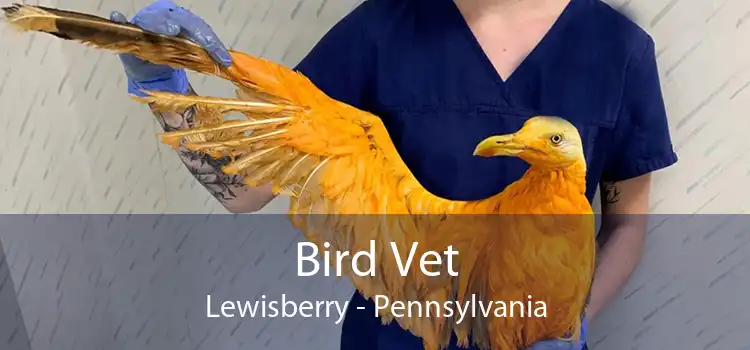 Bird Vet Lewisberry - Pennsylvania
