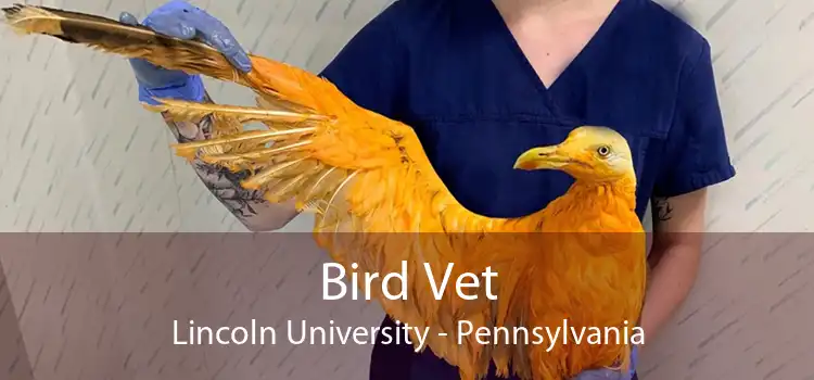 Bird Vet Lincoln University - Pennsylvania
