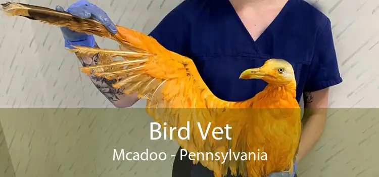 Bird Vet Mcadoo - Pennsylvania