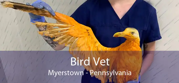 Bird Vet Myerstown - Pennsylvania