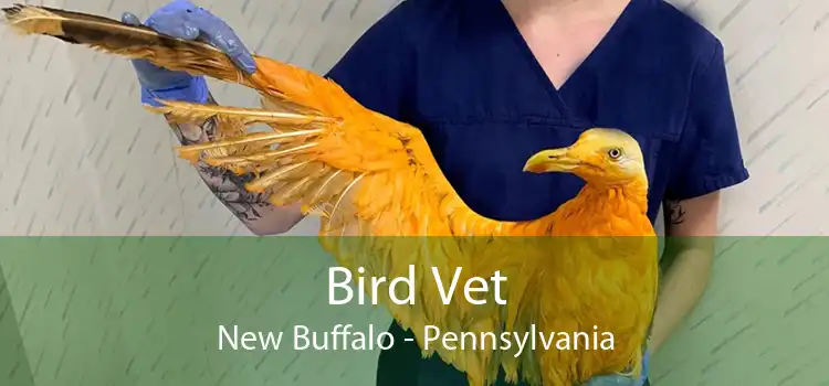 Bird Vet New Buffalo - Pennsylvania