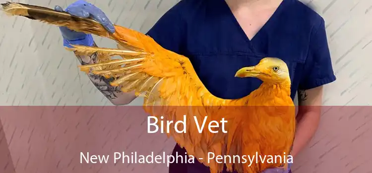 Bird Vet New Philadelphia - Pennsylvania