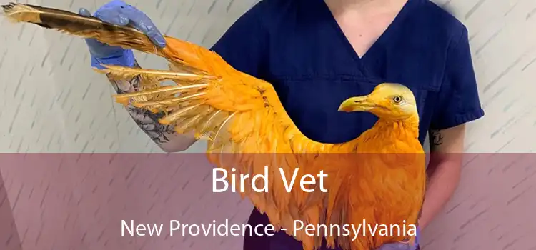 Bird Vet New Providence - Pennsylvania