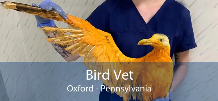 Bird Vet Oxford - Pennsylvania