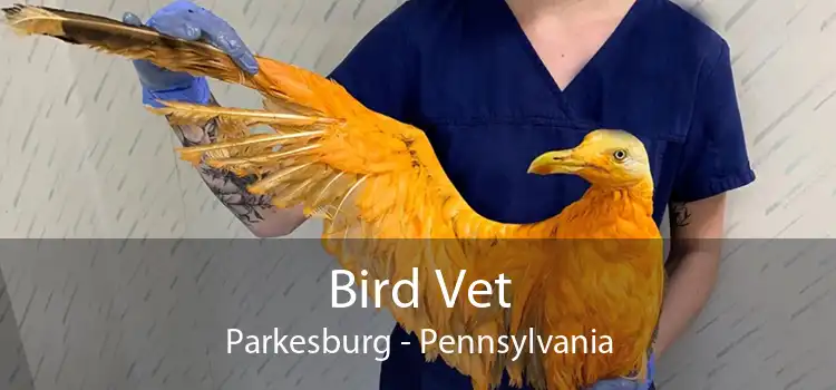 Bird Vet Parkesburg - Pennsylvania
