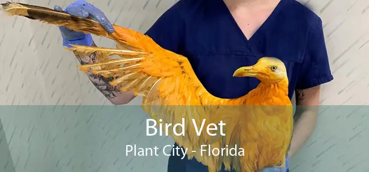Bird Vet Plant City - Florida