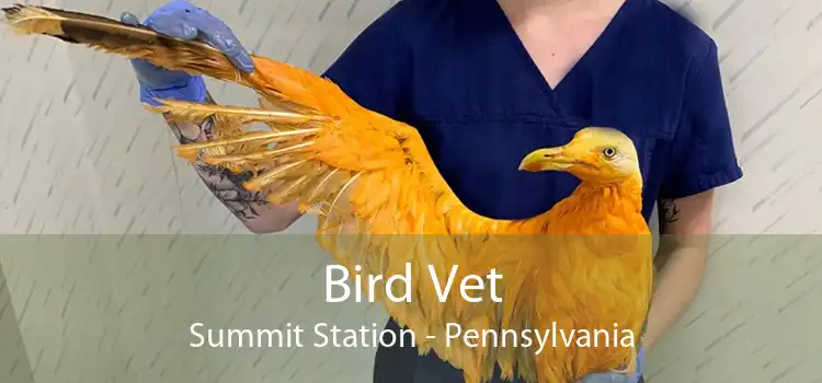 Bird Vet Summit Station - Pennsylvania