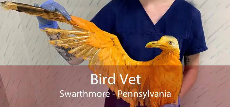 Bird Vet Swarthmore - Pennsylvania