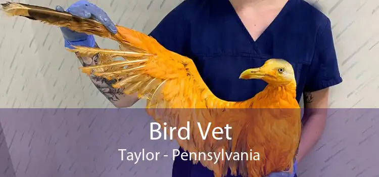 Bird Vet Taylor - Pennsylvania