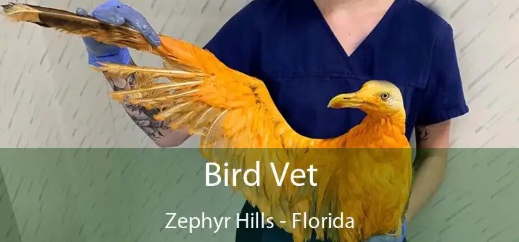 Bird Vet Zephyr Hills - Florida