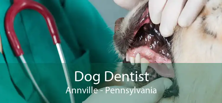 Dog Dentist Annville - Pennsylvania