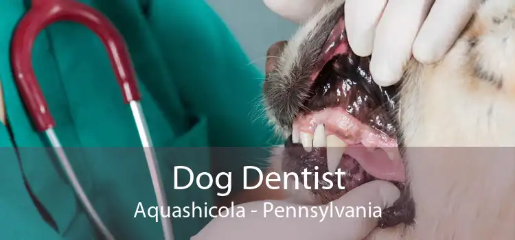 Dog Dentist Aquashicola - Pennsylvania