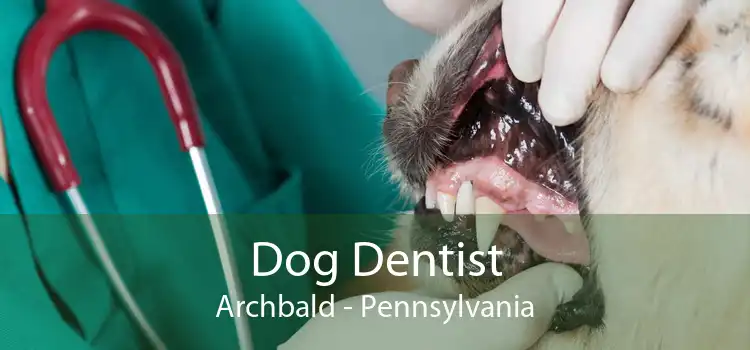 Dog Dentist Archbald - Pennsylvania