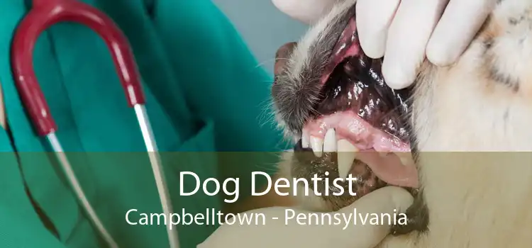 Dog Dentist Campbelltown - Pennsylvania