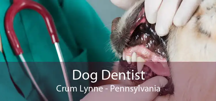 Dog Dentist Crum Lynne - Pennsylvania