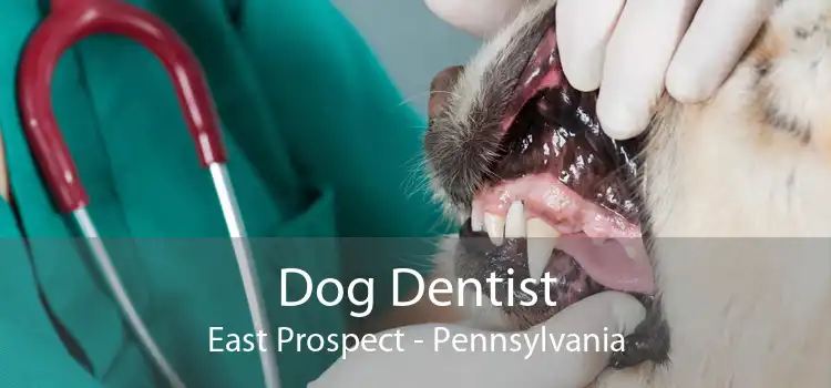 Dog Dentist East Prospect - Pennsylvania