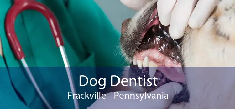 Dog Dentist Frackville - Pennsylvania