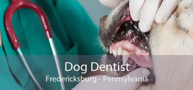 Dog Dentist Fredericksburg - Pennsylvania