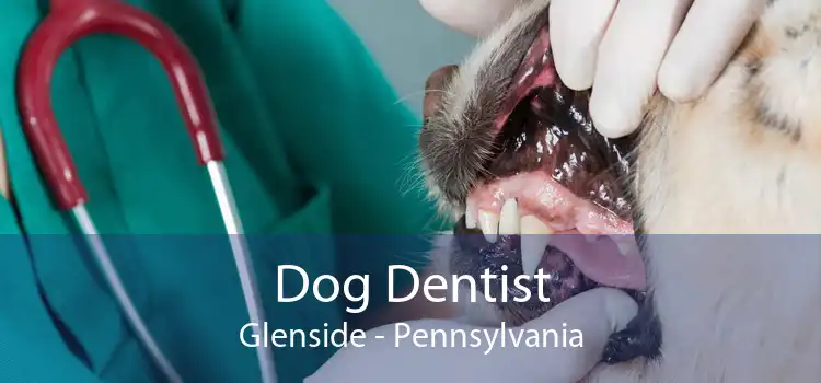 Dog Dentist Glenside - Pennsylvania
