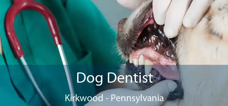 Dog Dentist Kirkwood - Pennsylvania