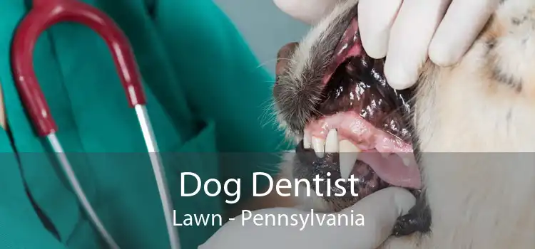Dog Dentist Lawn - Pennsylvania