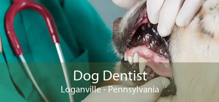 Dog Dentist Loganville - Pennsylvania