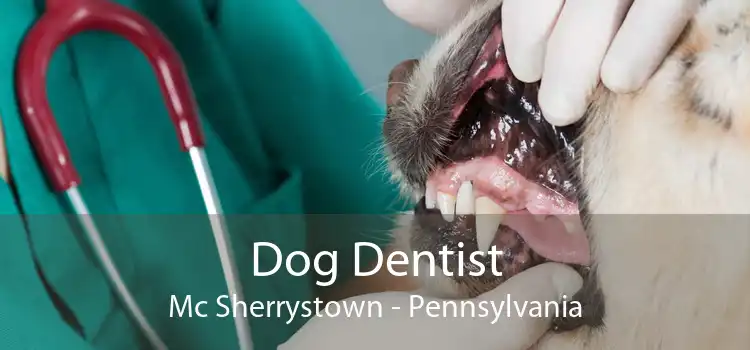 Dog Dentist Mc Sherrystown - Pennsylvania