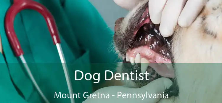 Dog Dentist Mount Gretna - Pennsylvania