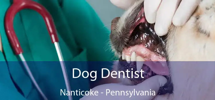 Dog Dentist Nanticoke - Pennsylvania