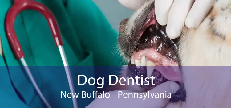 Dog Dentist New Buffalo - Pennsylvania