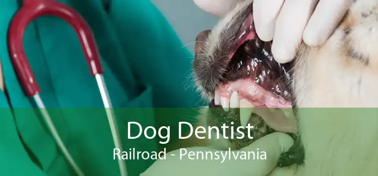 Dog Dentist Railroad - Pennsylvania