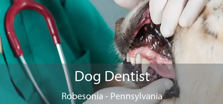 Dog Dentist Robesonia - Pennsylvania