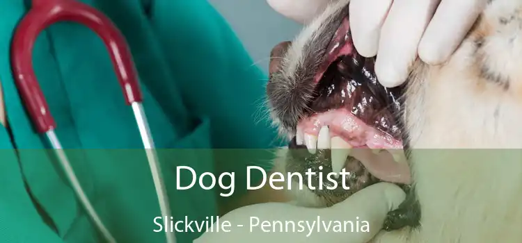 Dog Dentist Slickville - Pennsylvania