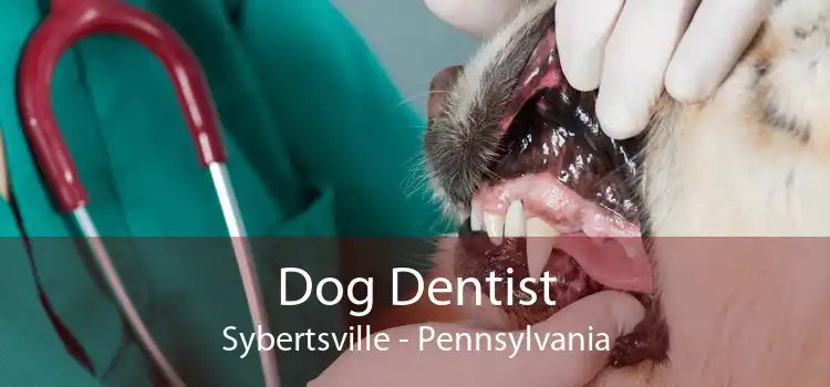 Dog Dentist Sybertsville - Pennsylvania