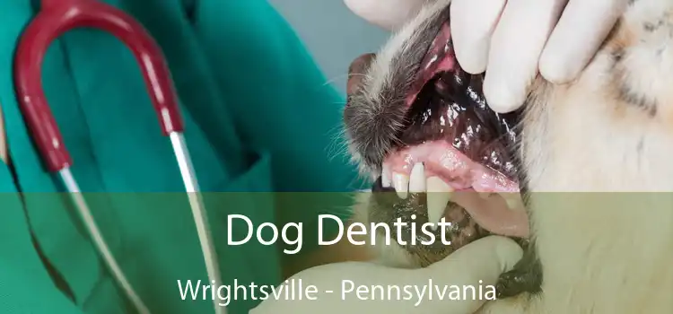 Dog Dentist Wrightsville - Pennsylvania