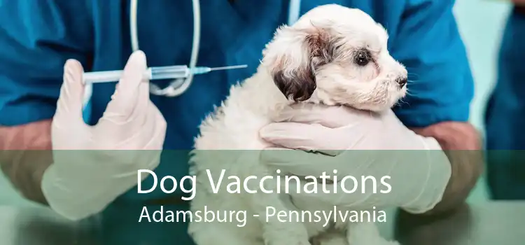 Dog Vaccinations Adamsburg - Pennsylvania