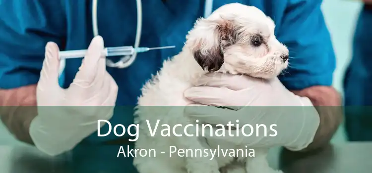 Dog Vaccinations Akron - Pennsylvania