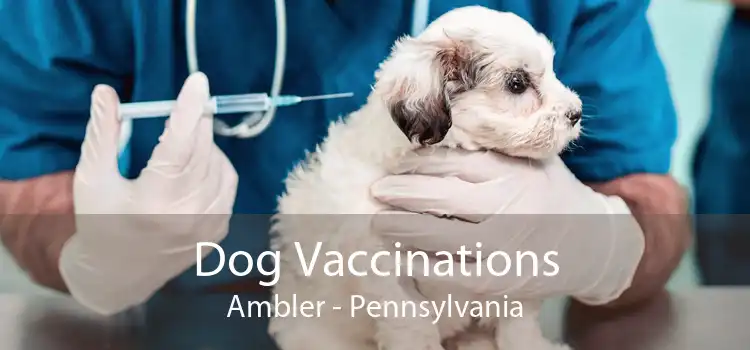 Dog Vaccinations Ambler - Pennsylvania