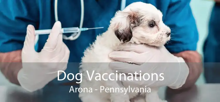 Dog Vaccinations Arona - Pennsylvania