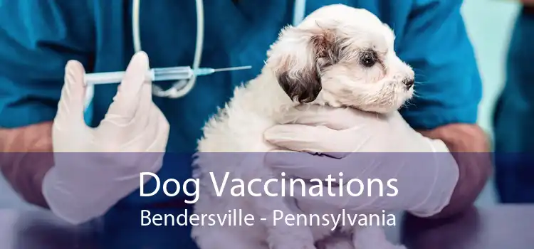 Dog Vaccinations Bendersville - Pennsylvania