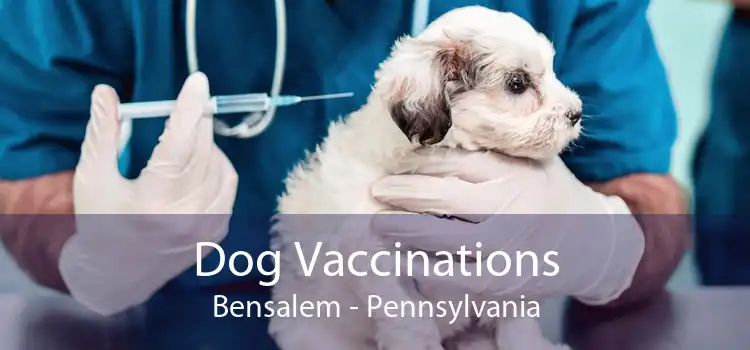 Dog Vaccinations Bensalem - Pennsylvania