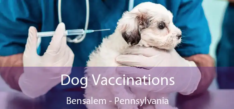 Dog Vaccinations Bensalem - Pennsylvania