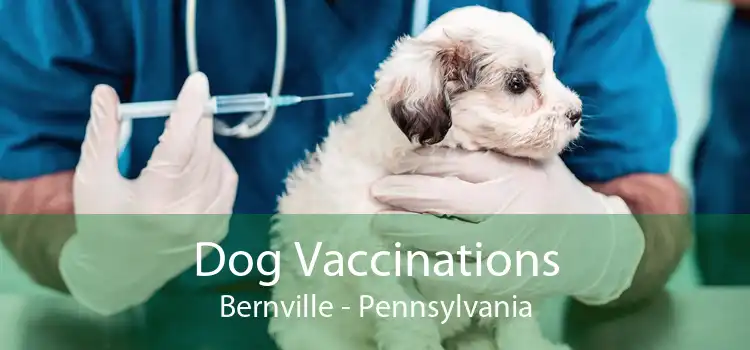 Dog Vaccinations Bernville - Pennsylvania