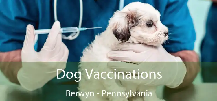 Dog Vaccinations Berwyn - Pennsylvania